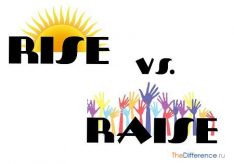 Разница между Raise и Rise