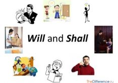 Разница между Shall и Will