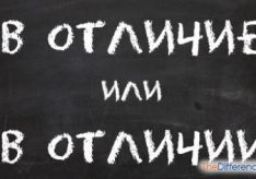 Разница между «в отличие» и «в отличии»