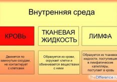Разница между кровью и лимфой