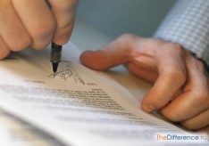 Договоры или договора – как правильно?
