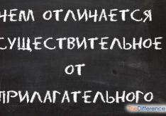 Разница между прилагательным и существительным