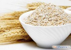 Разница между отрубями и клетчаткой