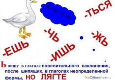 Как пишется правильно: ляжте или лягте?