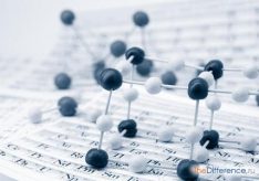 Разница между жидкостью и газом