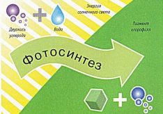 Разница между фотосинтезом и хемосинтезом