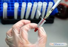 Разница между антителами IgG и IgM