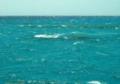 Самое соленое море