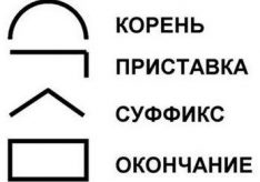 Что изучает морфология?