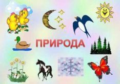 Что относится к живой природе?